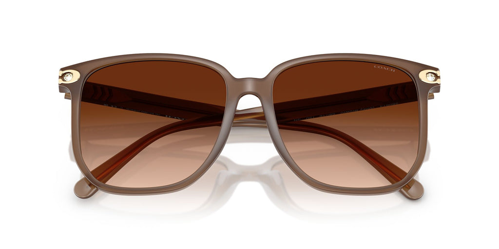 Coach Cw419 HC8413BD 580874 58 Milky Brown / Brown Gradient