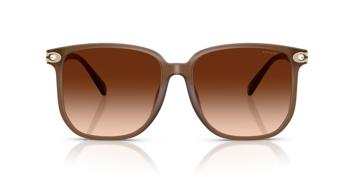 Coach Cw419 HC8413BD 580874 58 Milky Brown / Brown Gradient