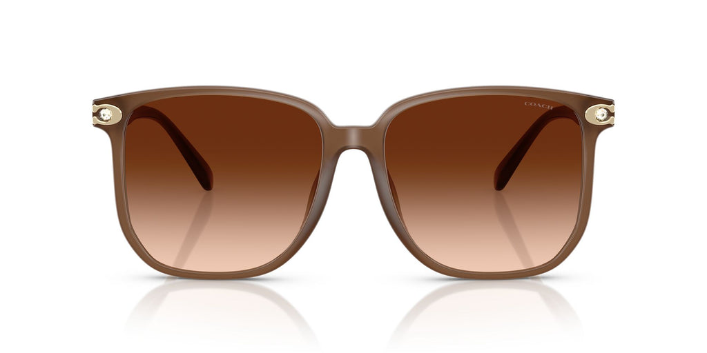 Coach Cw419 HC8413BD 580874 58 Milky Brown / Brown Gradient