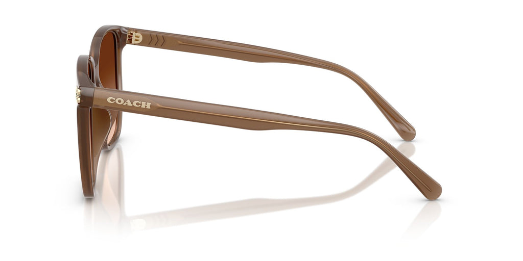 Coach Cw419 HC8413BD 580874 58 Milky Brown / Brown Gradient