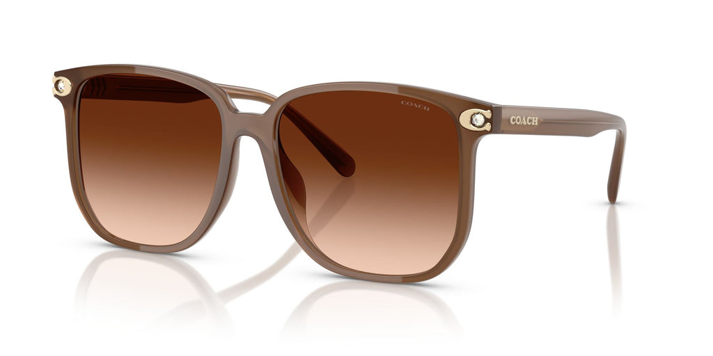 Coach Cw419 HC8413BD 580874 58 Milky Brown / Brown Gradient