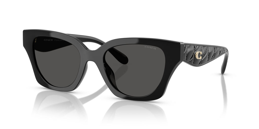 Coach Cad18 HC8418U 500287 53 Black / Grey Solid