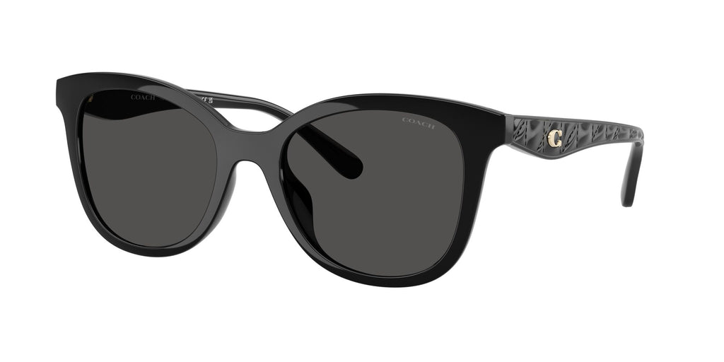 Coach Cad25 HC8419U 500287 55 Black / Grey Solid