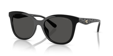 Coach Cad25 HC8419U 500287 55 Black / Grey Solid