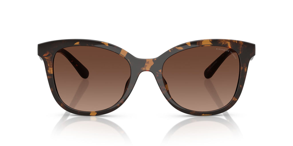 Coach Cad25 HC8419U 5120T5 55 Dark Tortoise / Brown Gradient Polar
