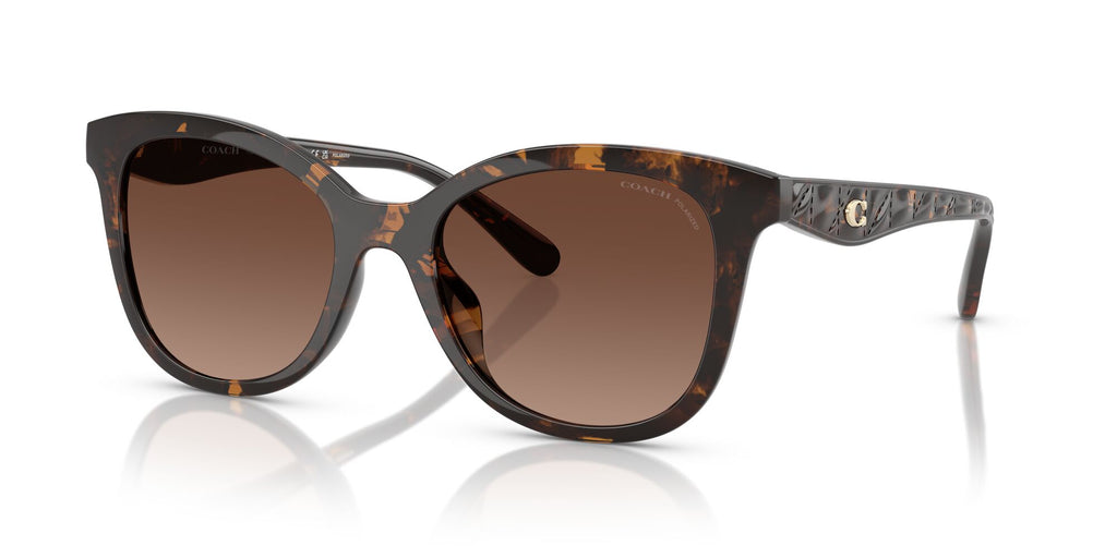 Coach Cad25 HC8419U 5120T5 55 Dark Tortoise / Brown Gradient Polar