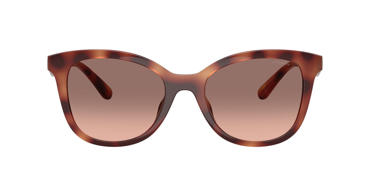 Coach Cad25 HC8419U 577413 55 Caramel Tortoise / Brown Pink Gradient