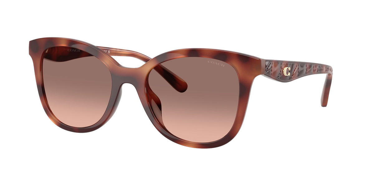 Coach Cad25 HC8419U 577413 55 Caramel Tortoise / Brown Pink Gradient
