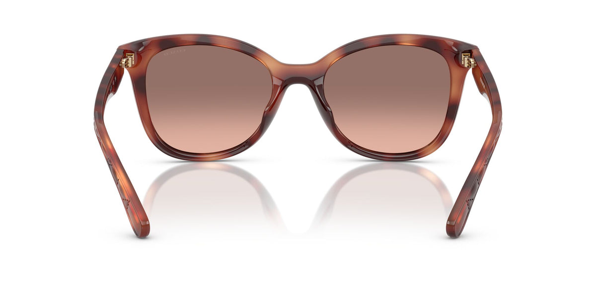 Coach Cad25 HC8419U 577413 55 Caramel Tortoise / Brown Pink Gradient