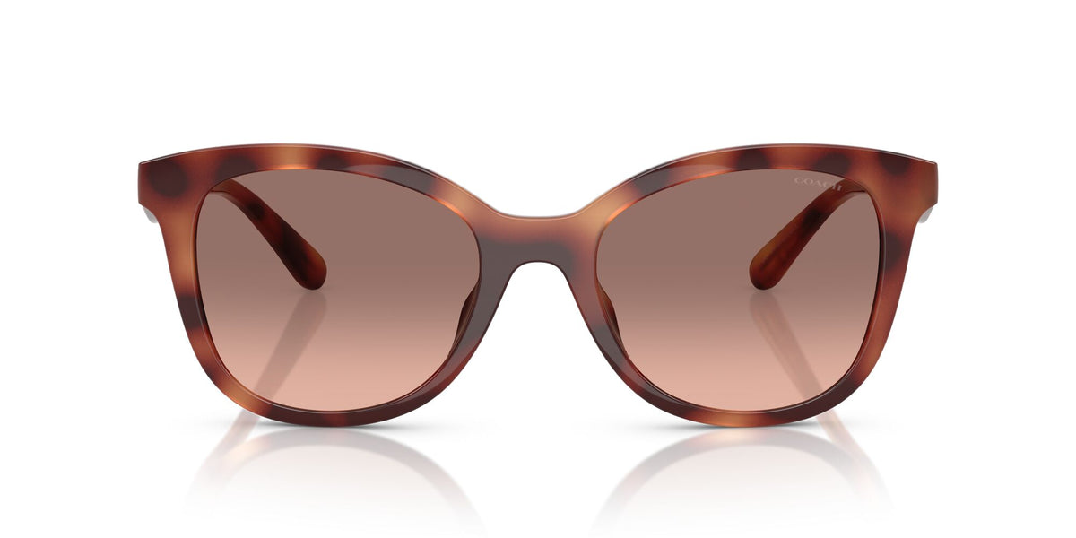 Coach Cad25 HC8419U 577413 55 Caramel Tortoise / Brown Pink Gradient