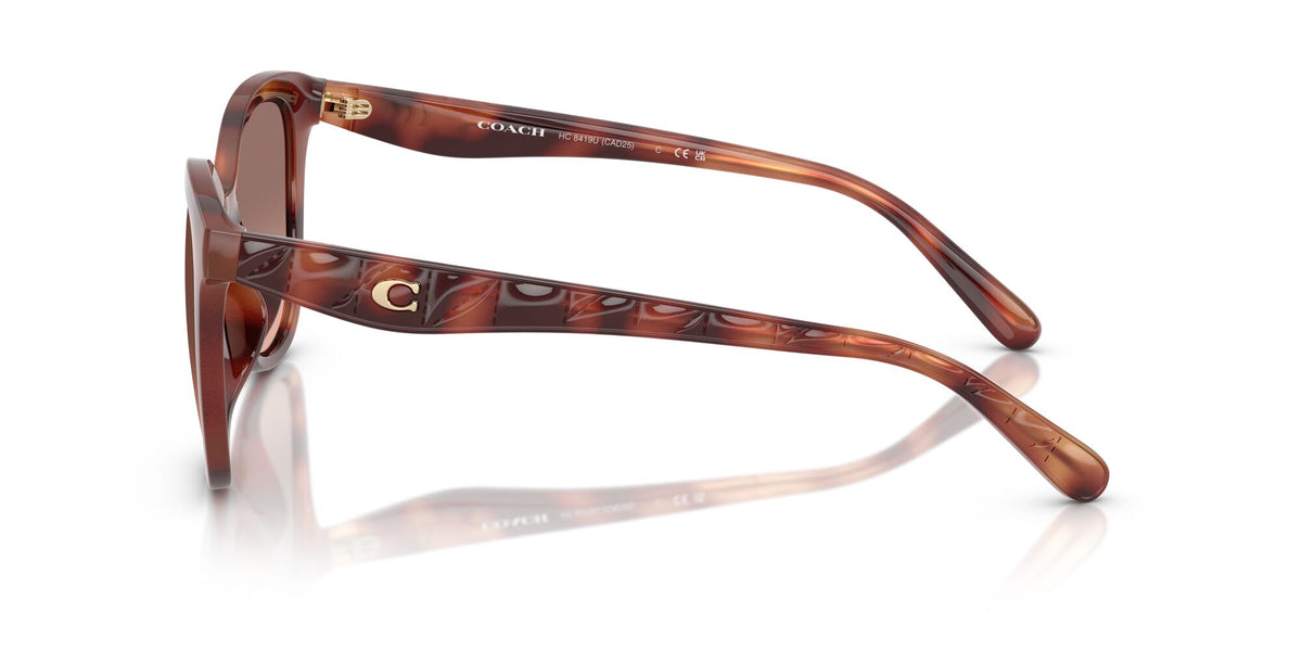 Coach Cad25 HC8419U 577413 55 Caramel Tortoise / Brown Pink Gradient