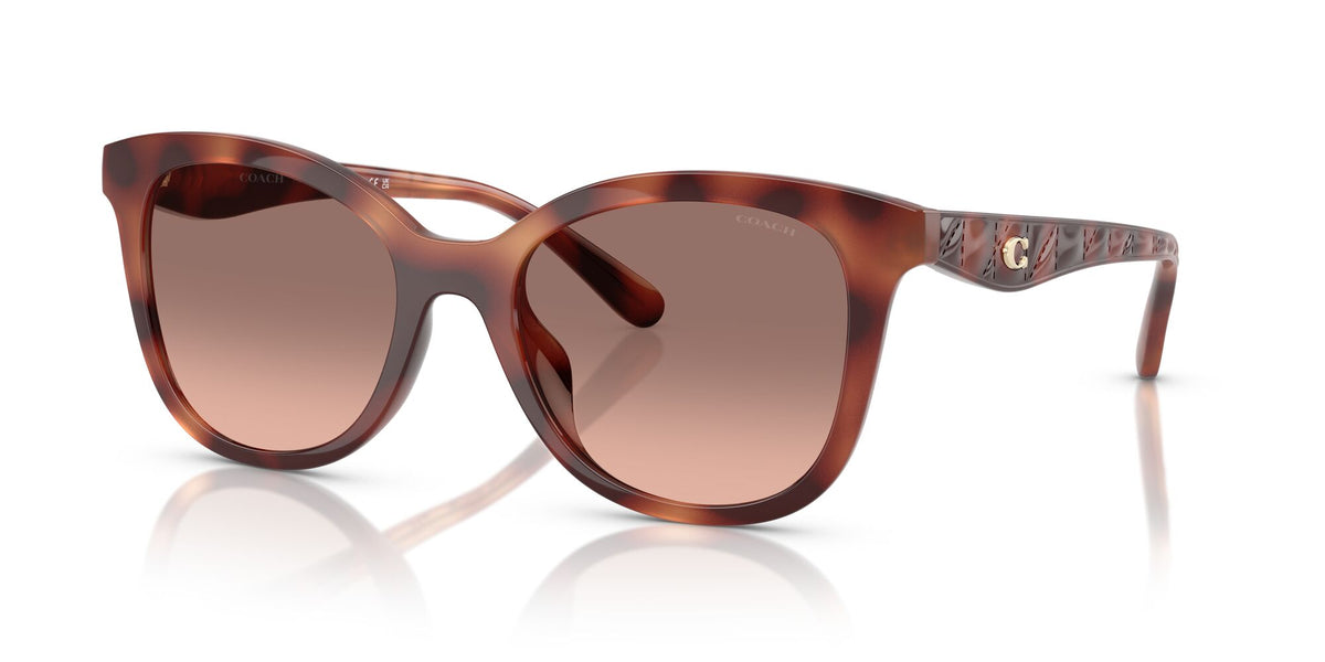 Coach Cad25 HC8419U 577413 55 Caramel Tortoise / Brown Pink Gradient
