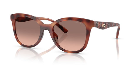 Coach Cad25 HC8419U 577413 55 Caramel Tortoise / Brown Pink Gradient