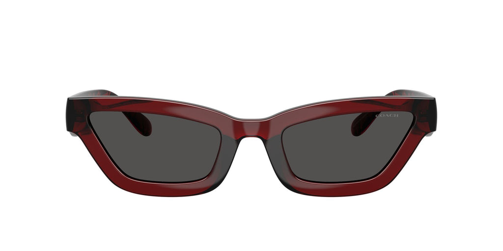 Coach Cad28 HC8420U 587487 55 Transparent Deep Red / Grey Solid