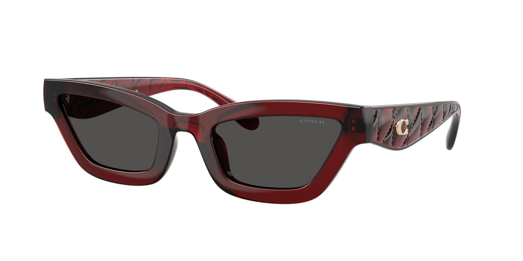Coach Cad28 HC8420U 587487 55 Transparent Deep Red / Grey Solid