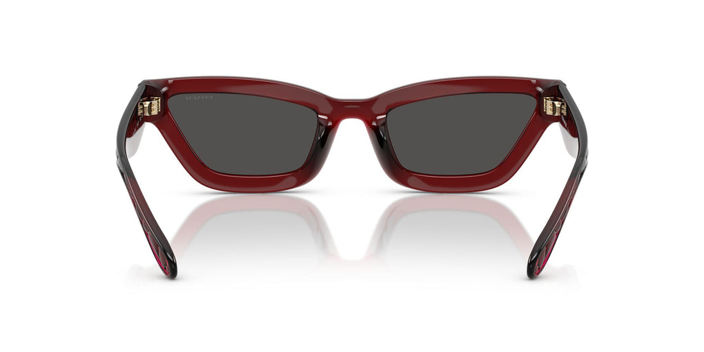 Coach Cad28 HC8420U 587487 55 Transparent Deep Red / Grey Solid