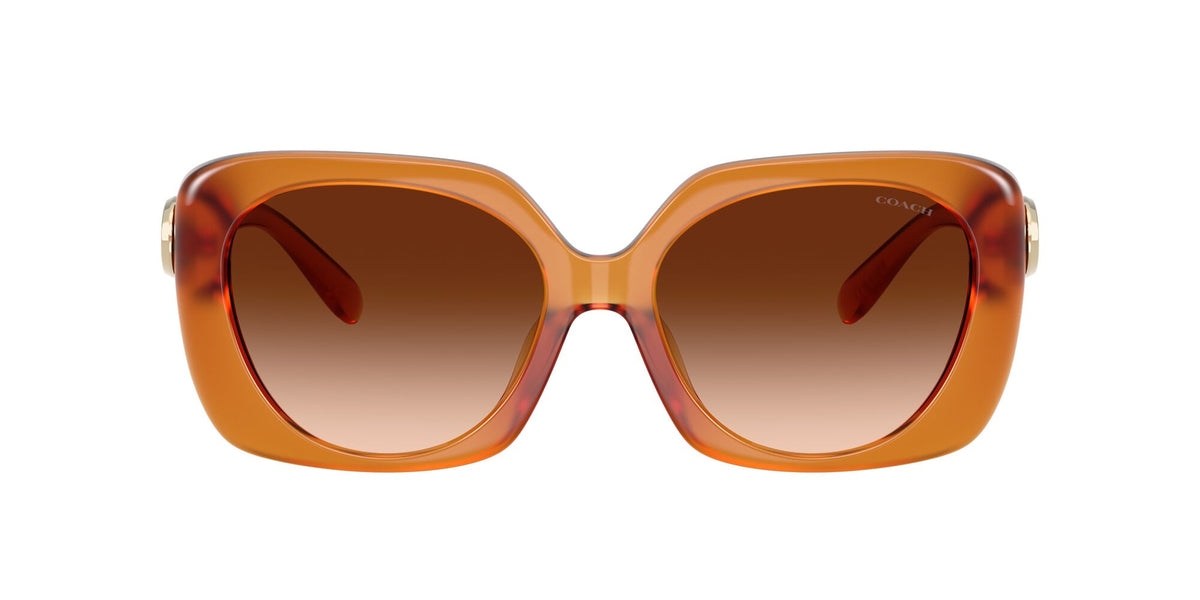 Coach Cad33 HC8422U 564774 55 Milky Amber / Brown Gradient