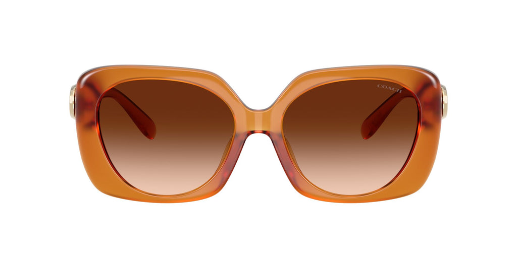 Coach Cad33 HC8422U 564774 55 Milky Amber / Brown Gradient