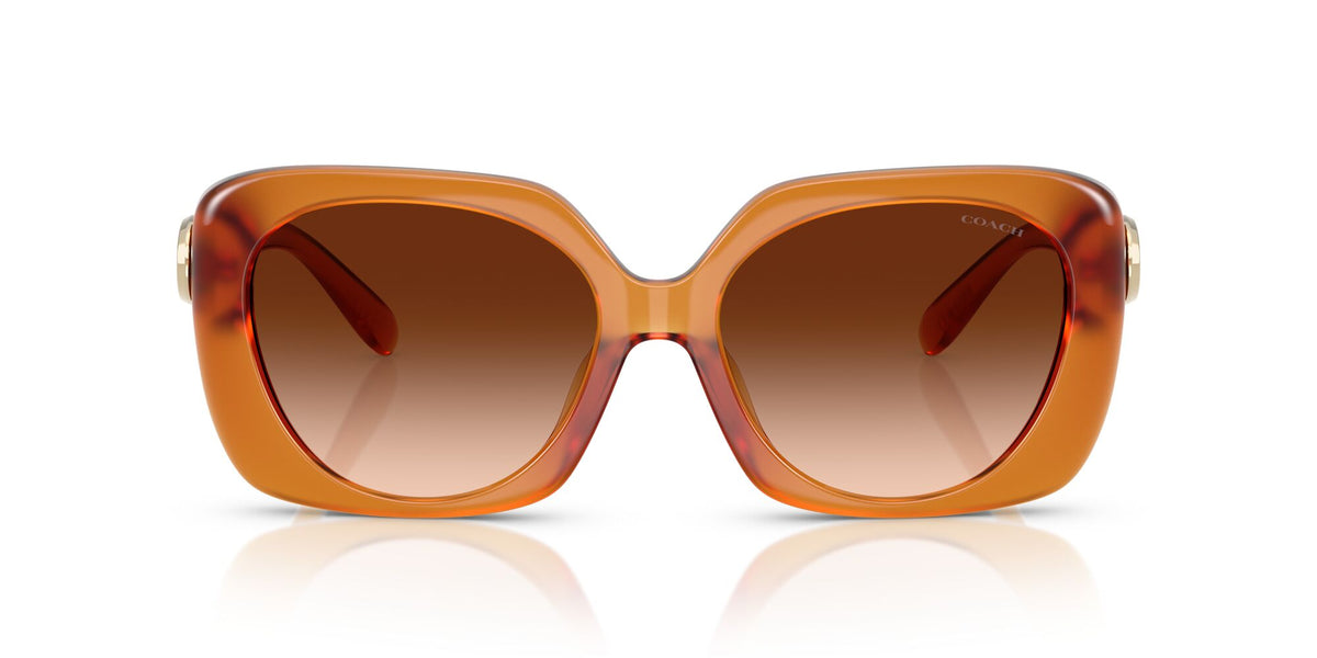 Coach Cad33 HC8422U 564774 55 Milky Amber / Brown Gradient
