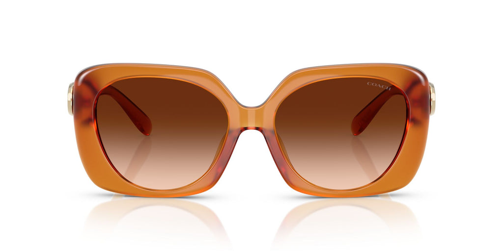 Coach Cad33 HC8422U 564774 55 Milky Amber / Brown Gradient