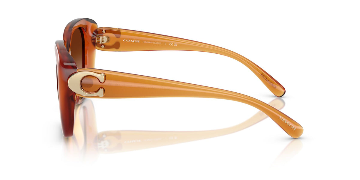 Coach Cad33 HC8422U 564774 55 Milky Amber / Brown Gradient