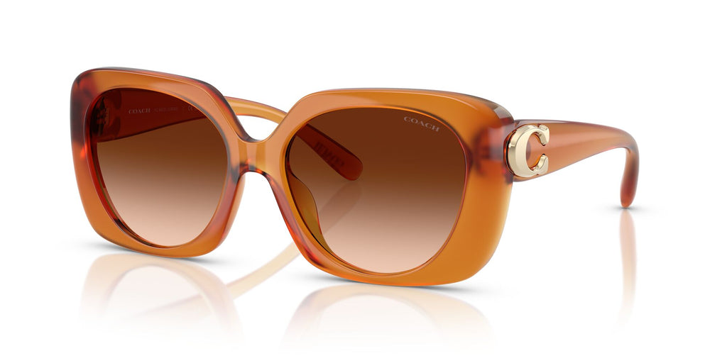 Coach Cad33 HC8422U 564774 55 Milky Amber / Brown Gradient