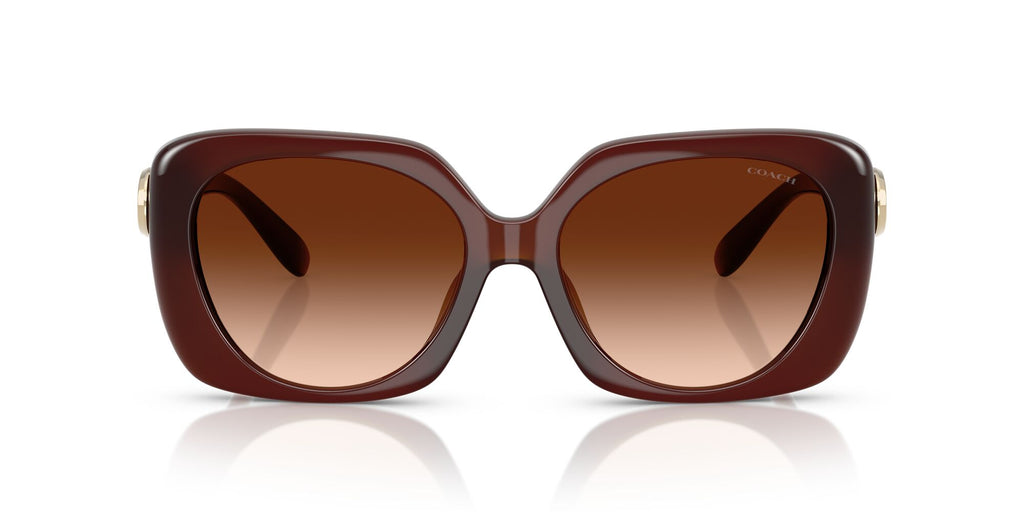 Coach Cad33 HC8422U 584174 55 Milky Hazelnut / Brown Gradient