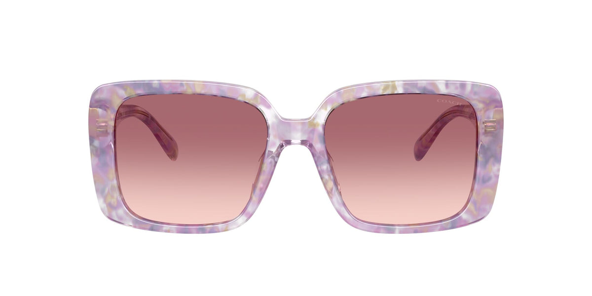 Coach Cad54 HC8424U 58677W 54 Pearlised Purple Watercolour / Purple Pink Gradient