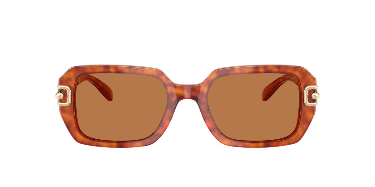 Coach Cad74 HC8425U 577473 52 Caramel Tortoise / Amber Solid