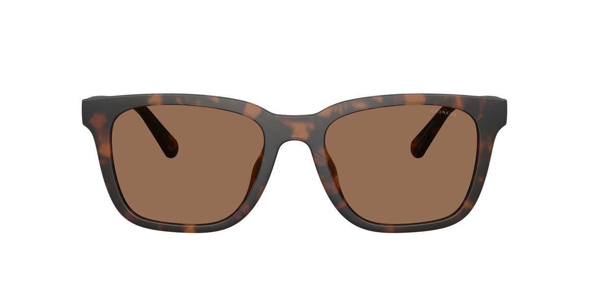 Coach Cad81 HC8426U 512073 54 Matte Dark Tortoise / Brown Solid