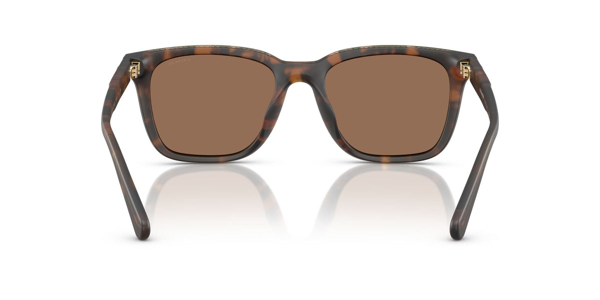 Coach Cad81 HC8426U 512073 54 Matte Dark Tortoise / Brown Solid
