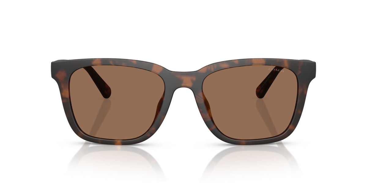 Coach Cad81 HC8426U 512073 54 Matte Dark Tortoise / Brown Solid