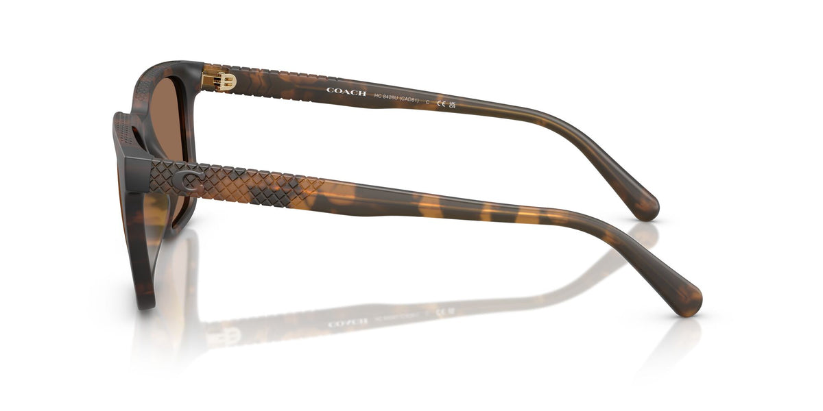 Coach Cad81 HC8426U 512073 54 Matte Dark Tortoise / Brown Solid