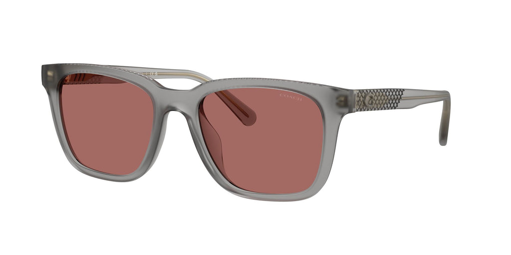 Coach Cad81 HC8426U 58750H 54 Matt Transparent Stone / Wine Solid