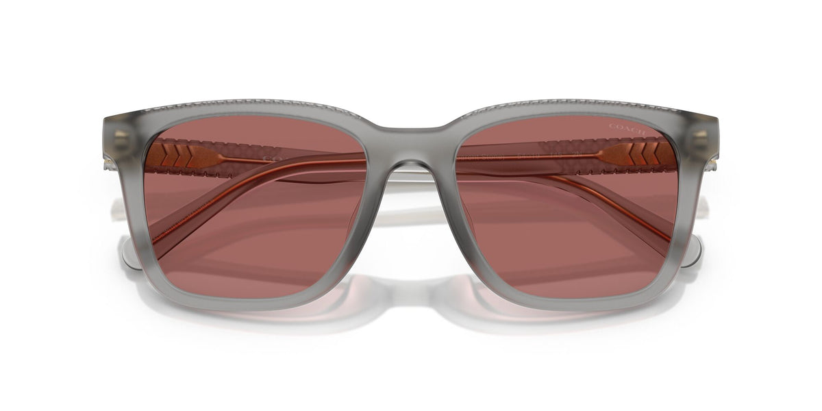 Coach Cad81 HC8426U 58750H 54 Matt Transparent Stone / Wine Solid