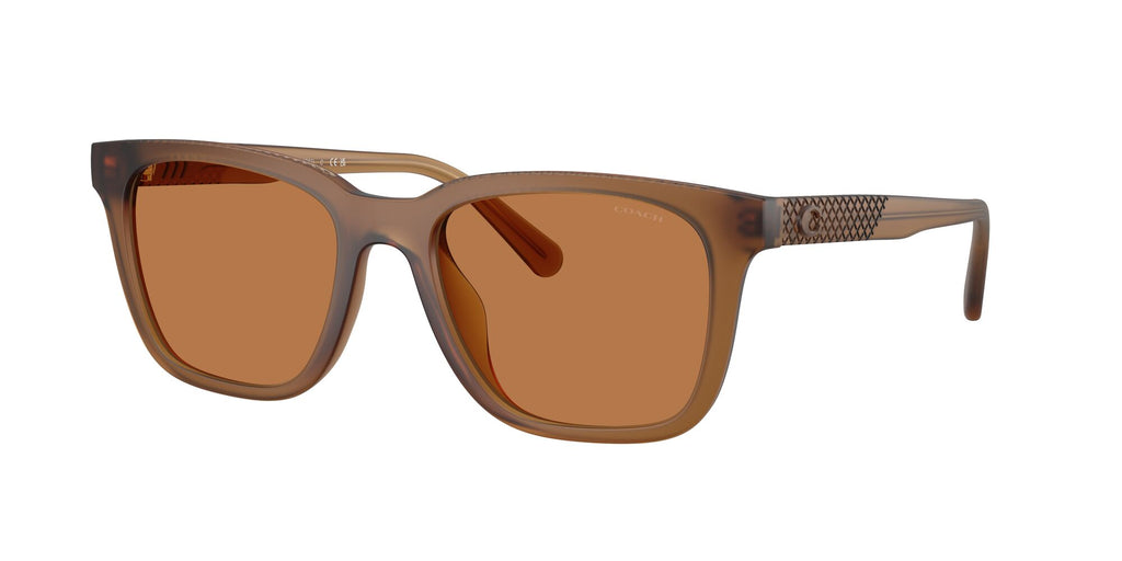 Coach Cad81 HC8426U 587673 54 Matt Transparent Amber / Amber Solid