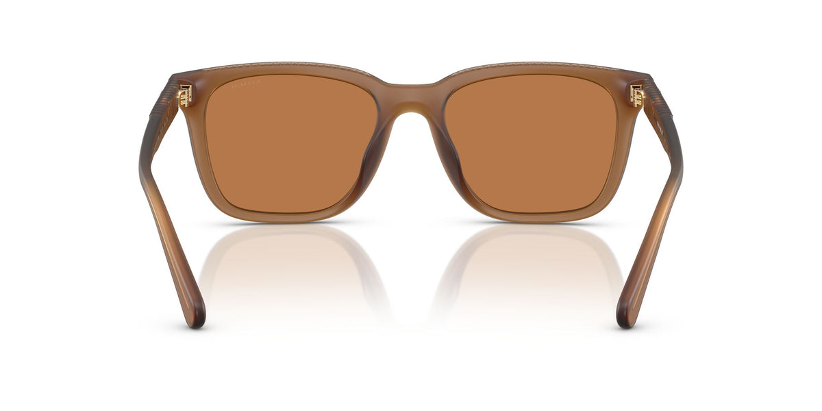 Coach Cad81 HC8426U 587673 54 Matt Transparent Amber / Amber Solid