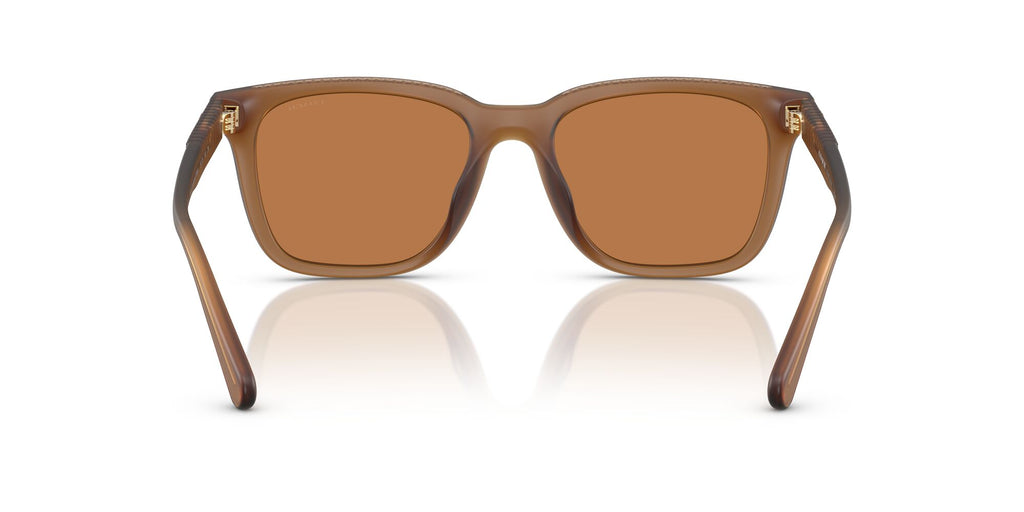 Coach Cad81 HC8426U 587673 54 Matt Transparent Amber / Amber Solid