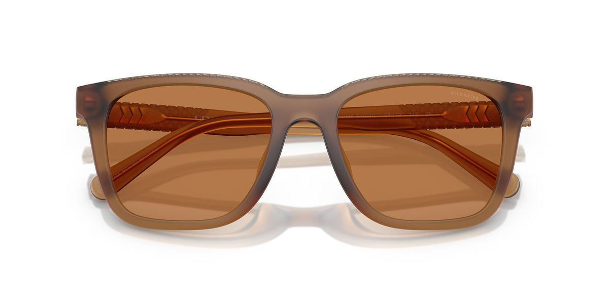 Coach Cad81 HC8426U 587673 54 Matt Transparent Amber / Amber Solid