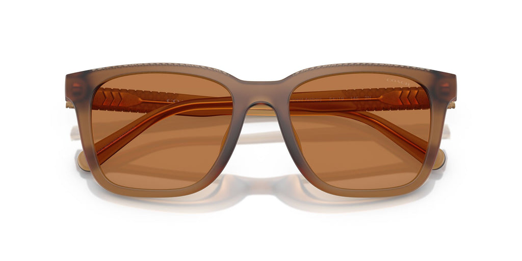 Coach Cad81 HC8426U 587673 54 Matt Transparent Amber / Amber Solid