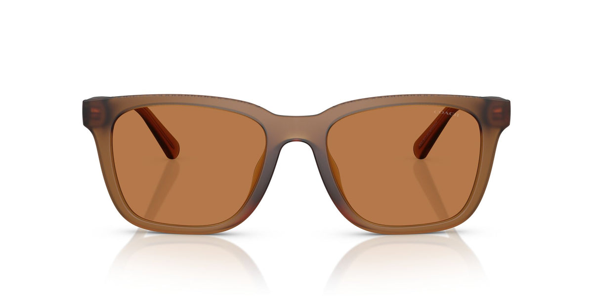 Coach Cad81 HC8426U 587673 54 Matt Transparent Amber / Amber Solid