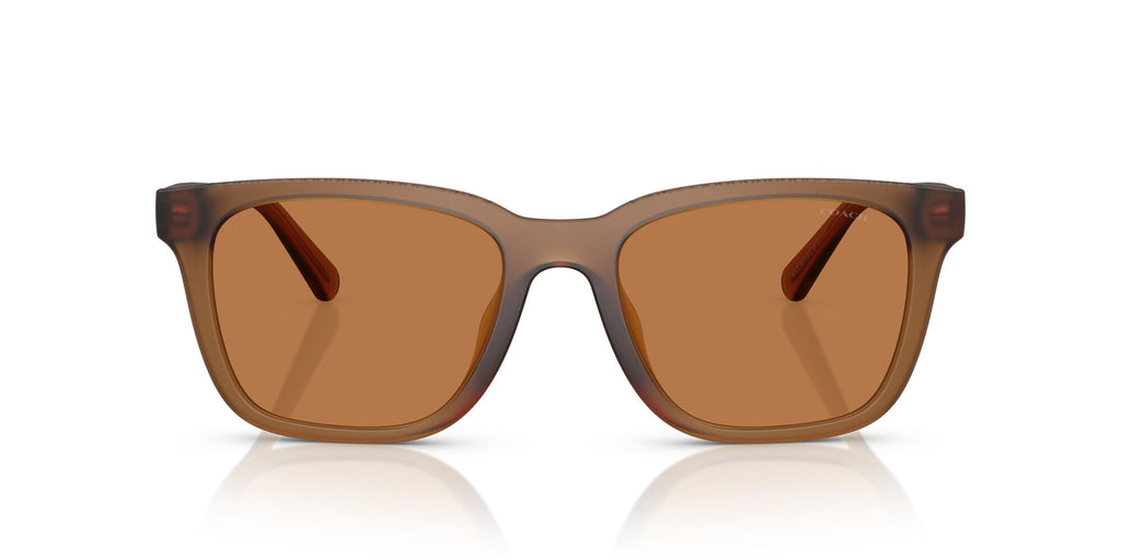 Coach Cad81 HC8426U 587673 54 Matt Transparent Amber / Amber Solid