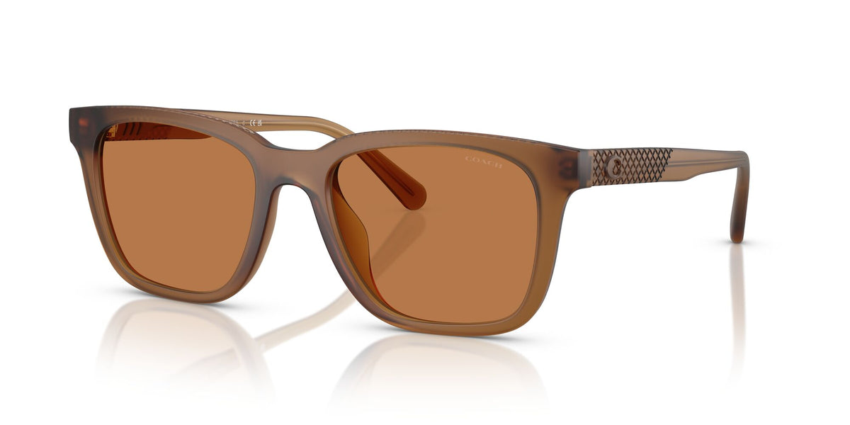 Coach Cad81 HC8426U 587673 54 Matt Transparent Amber / Amber Solid