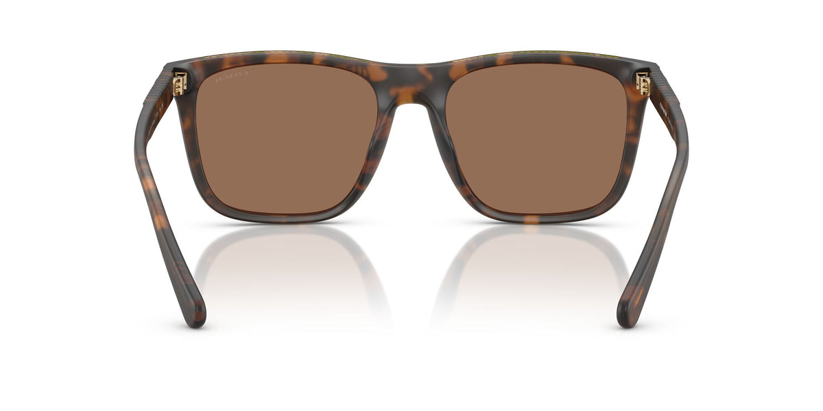 Coach Cae78 HC8427U 512073 57 Matte Dark Tortoise / Brown Solid