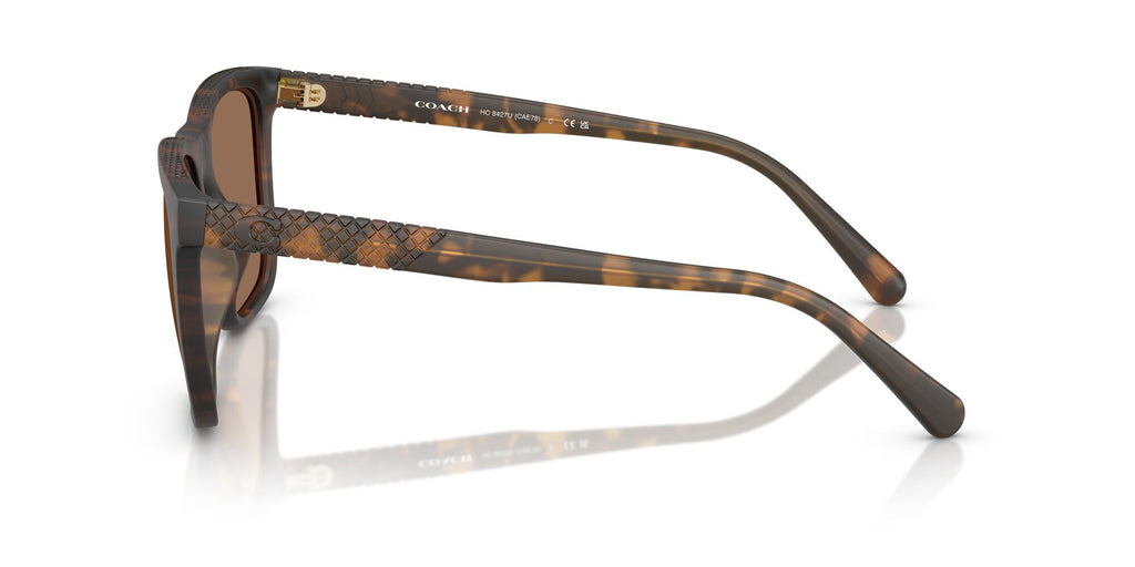 Coach Cae78 HC8427U 512073 57 Matte Dark Tortoise / Brown Solid