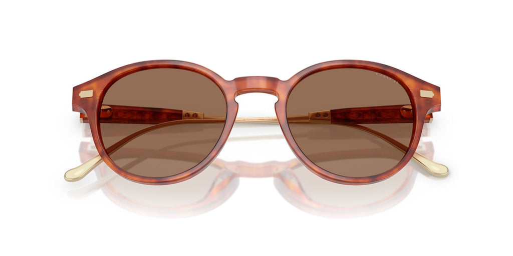 Coach Cad83 HC8428U 577473 50 Caramel Tortoise / Brown Solid