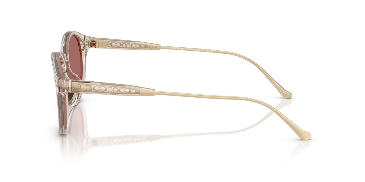 Coach Cad83 HC8428U 58790H 50 Transparent Sand / Wine Solid