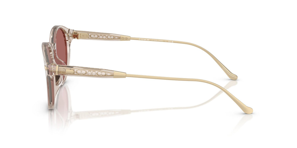 Coach Cad83 HC8428U 58790H 50 Transparent Sand / Wine Solid