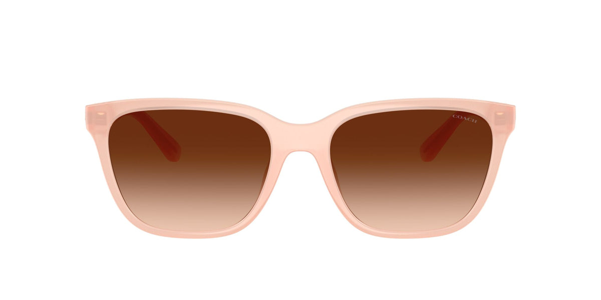 Coach Cae86 HC8429D 511374 56 Milky Light Pink / Brown Gradient