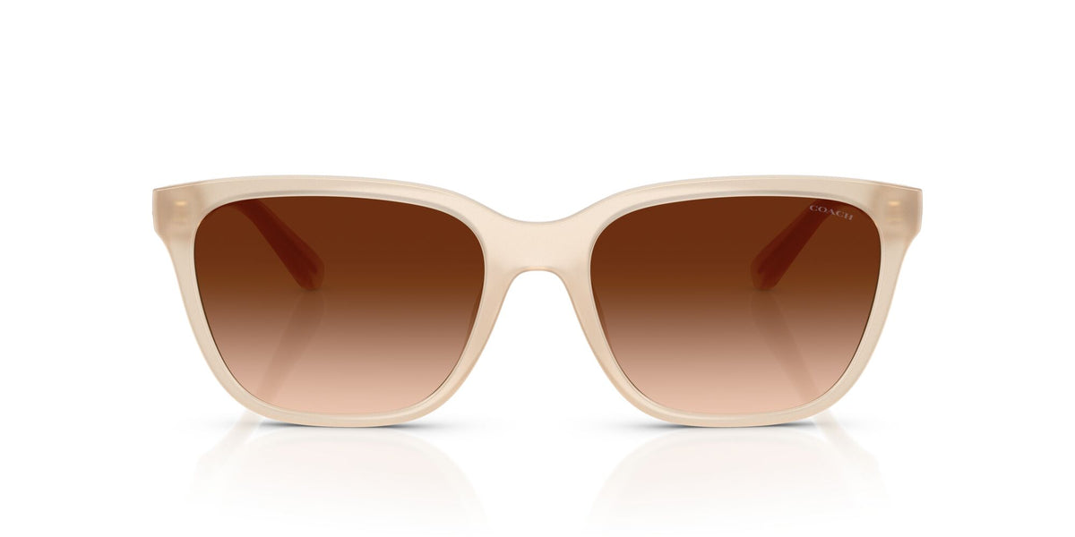 Coach Cae86 HC8429D 588374 56 Milky Coconut / Brown Gradient